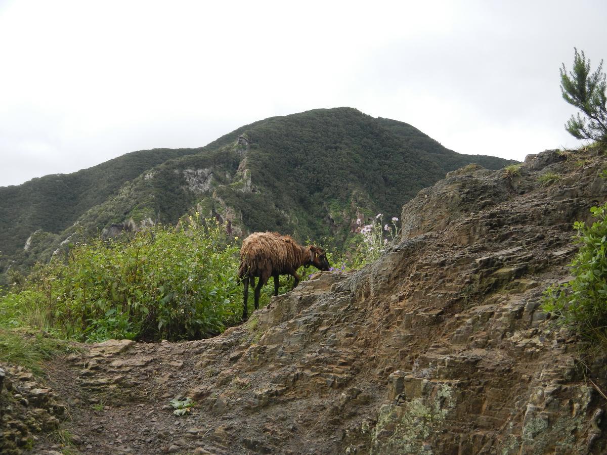 El Bailadero 蒙特斯阿娜加旅舍旅舍 外观 照片