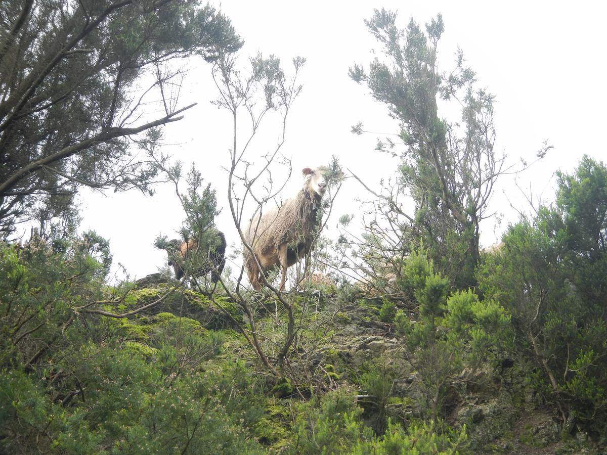 El Bailadero 蒙特斯阿娜加旅舍旅舍 外观 照片